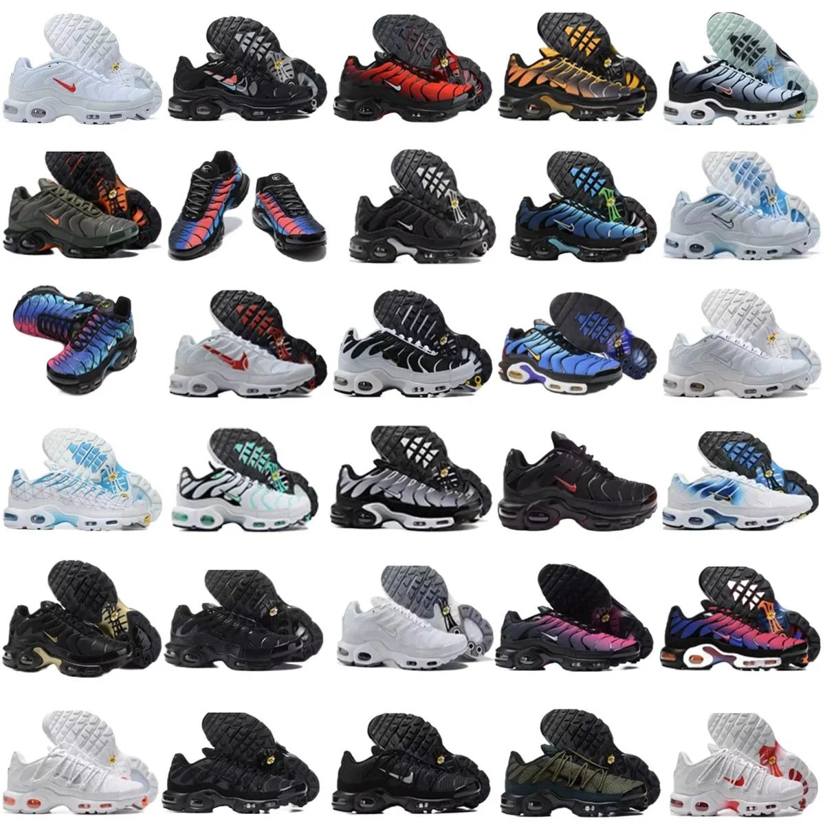 TN   Collection  